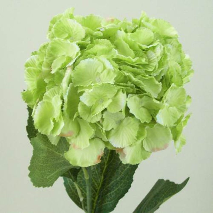 Green Flowers