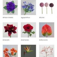 Flowers by Type