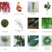 Leaves and Foliage by Type