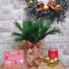 Artificial Mountain Spruce Branch 37.5cm 7 tips - X22037 