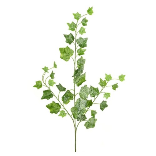 Frosted Ivy Stem 66cm - X25079 COMING SOON Frosted Ivy Stem 66cm - X25079 COMING SOON