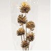 Gold Pine Cones on Sticks Pack of 6 - X25040 Gold Pine Cones on Sticks Pack of 6 - X25040