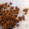 Metallic Artificial Witch Hazel Bronze 53cm - X21031 BAY2B Metallic Artificial Witch Hazel Bronze 53cm - X21031 BAY2B