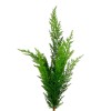 Real Touch Cedar Pine Stem 61cm - X25046 Real Touch Cedar Pine Stem 61cm - X25046