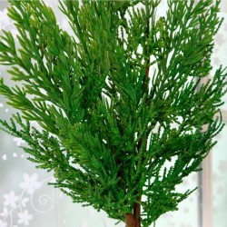 Real Touch Cedar Pine Stem 61cm - X25047