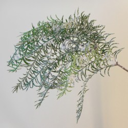 Snowy Christmas Cedar Asparagus Trailing 58cm - X21061 