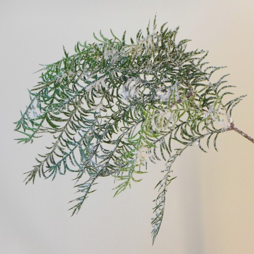 Snowy Christmas Cedar Asparagus Trailing 58cm - X21061 BAY4C Snowy Christmas Cedar Asparagus Trailing 58cm - X21061 BAY4C