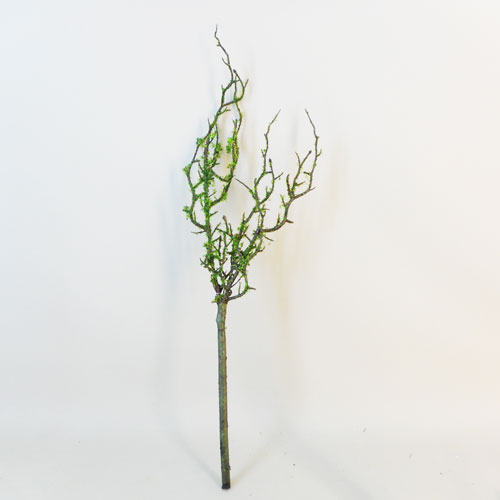 Artificial Branch Moss Covered 56cm - 18X047 BAY 3D 