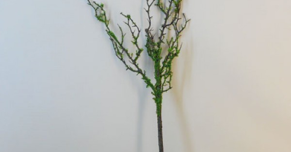 Artificial Moss Branch