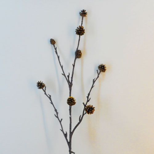 Pine Cone Branch Gold - 18X250