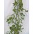 Glitter Leaf and Berry Christmas Garland Lime Green - X099 