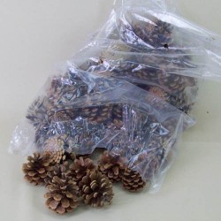 Natural Fir Cones 1kg bag - 13X059