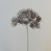Dill Flower Champagne Gold Glitter 53cm - X21034 Dill Flower Champagne Gold Glitter 53cm - X21034