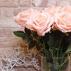 Christmas Flowers | Sparkle Rose Peach 72cm - X22005 