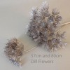 Dill Flower Champagne Gold Glitter 53cm - X21034 Dill Flower Champagne Gold Glitter 53cm - X21034