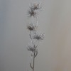 Metallic Artificial Witch Hazel Champagne Gold 53cm - X21029 BAY4A Metallic Artificial Witch Hazel Champagne Gold 53cm - X21029 BAY4A