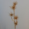 Metallic Artificial Witch Hazel Gold 53cm - X21030 BAY1D Metallic Artificial Witch Hazel Gold 53cm - X21030 BAY1D