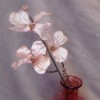 Pearl Dogwood Spray Pink 50cm - X23007 BAY4B