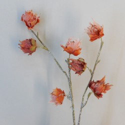Sparkle Hibiscus Buds Apricot - 18X035