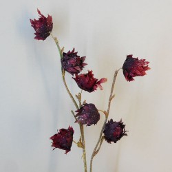 Sparkle Hibiscus Buds Wine - 18X036