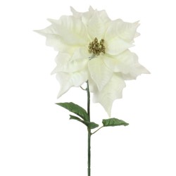 64cm Cream Velvet Poinsettia  - X22011