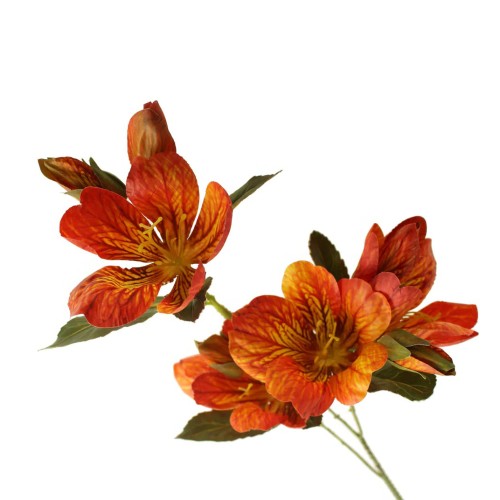 Eco Peruvian Lily Orange 61cm - L062 I2