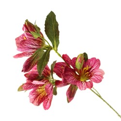 Eco Peruvian Lily Pink 61cm - L063 I2