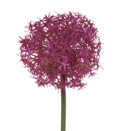 Eco Large Artificial Allium Pink Globemaster 76cm - A034 KK2 Eco Large Artificial Allium Pink Globemaster 76cm - A034 KK2