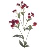 Eco Artificial Astrantia Burgundy 77cm - A084 Q2 Eco Artificial Astrantia Burgundy 77cm - A084 Q2