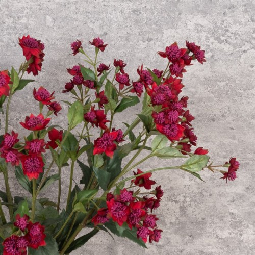 Eco Artificial Astrantia Burgundy 77cm - A084 Q2 Eco Artificial Astrantia Burgundy 77cm - A084 Q2