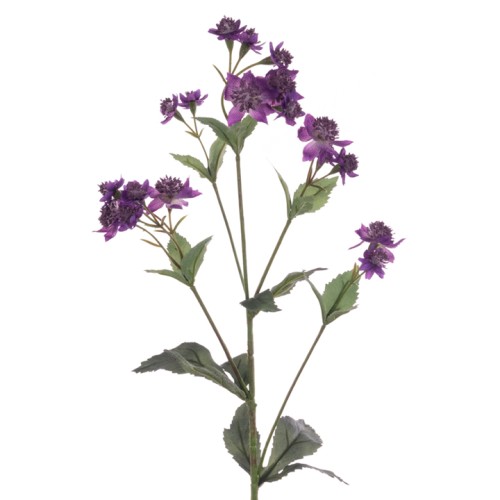 Eco Artificial Astrantia Purple 77cm - A035 Q2 Eco Artificial Astrantia Purple 77cm - A035 Q2