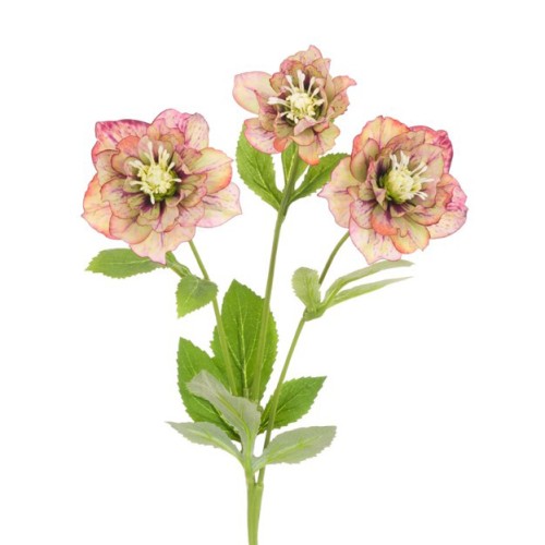 Eco Artificial Hellebore Stem Pink Green 48cm - H198 Q2 Eco Artificial Hellebore Stem Pink Green 48cm - H198 Q2