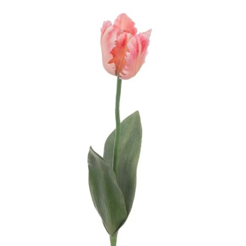 Eco Artificial Parrot Tulip Coral Pink 63cm - T043 LL4 Eco Artificial Parrot Tulip Coral Pink 63cm - T043 LL4