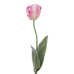 Eco Artificial Parrot Tulip Pink and White 63cm - T047 LL4