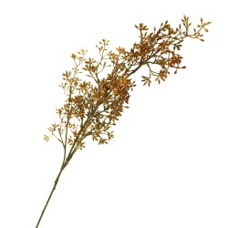 Eco Seeding Forest Elder 74cm - ELD001 F3