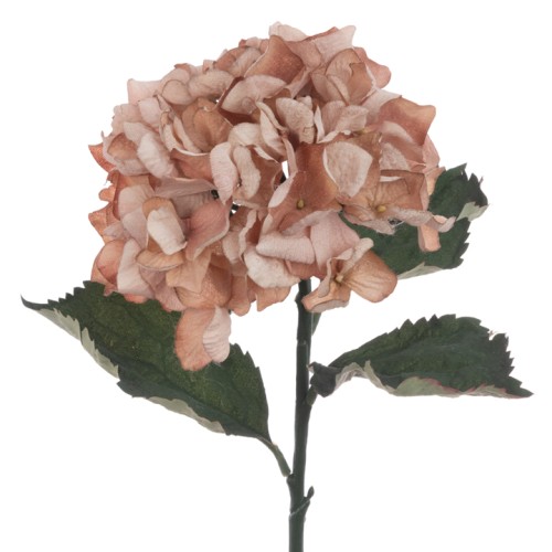 Eco Artificial Hydrangea Cappuccino 60cm - H120 LL3