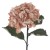 Eco Artificial Hydrangea Cappuccino 60cm - H120 