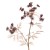 Eco Artificial Queen Anne's Lace Burgundy 74cm - Q005 KK2