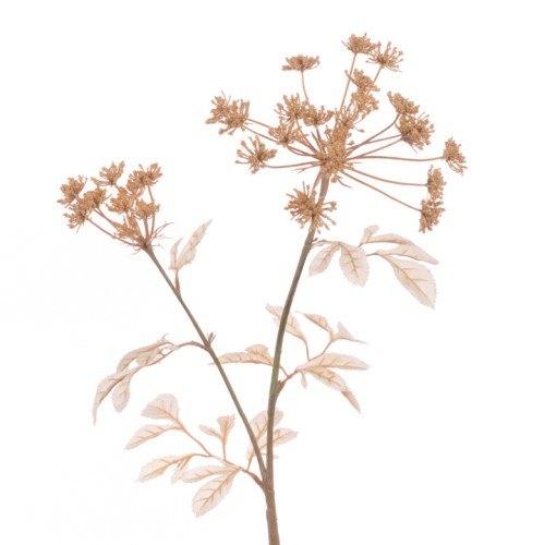 Eco Artificial Queen Anne's Lace Cappuccino 74cm - Q006 KK2 Eco Artificial Queen Anne's Lace Cappuccino 74cm - Q006 KK2