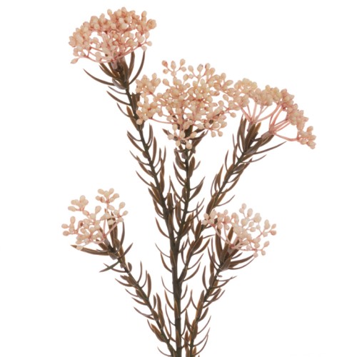 Eco Artificial Rice Flower Cappuccino 72cm - R040 KK3 Eco Artificial Rice Flower Cappuccino 72cm - R040 KK3