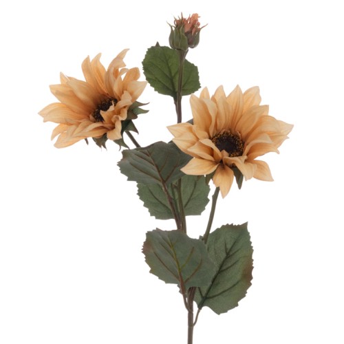 Eco Artificial Sunflowers Cappuccino 75cm - S127 KK2