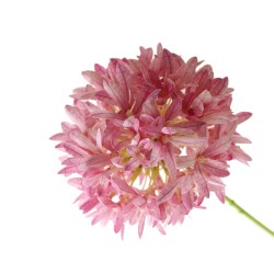 Eco Large Artificial Star of Persia Allium Pink 75cm - A133