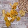 Artificial Maple Leaves Gold and Russet - MAP018 