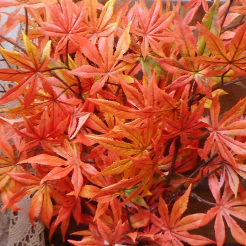 Artificial Japanese Maple Leaves Branch Autumn 100cm - MAP025 DD3 Artificial Japanese Maple Leaves Branch Autumn 100cm - MAP025 DD3