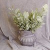 Artificial Dusty Miller Plants 53cm | Cineraria Plants - CIN002 F1