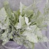 Artificial Dusty Miller Plants 53cm | Cineraria Plants - CIN002 F1