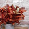 Artificial Ficus Callosa Leaves Orange 35cm - FIC012 C2