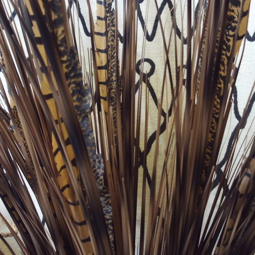 Zebra Grass and Pheasant Feathers 120cm - ZEB001 F1