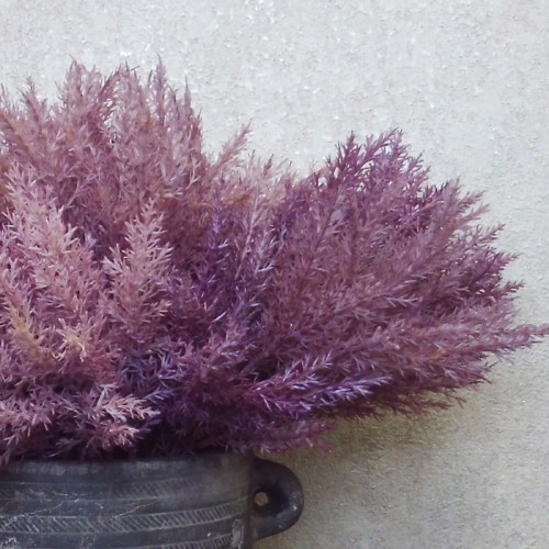 36cm Artificial Pampas Grass Picks Mauve Purple 6 Pack - PAM027 L3