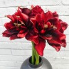 Artificial Amaryllis Flowers Red 55cm - A011 A2